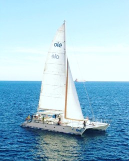 Kiva risteily katamaraanilla Crtagenan edustalla